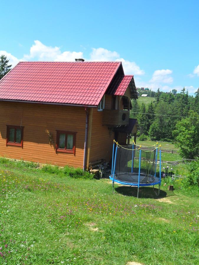 Lisovychok Villa วอรอคตา ภายนอก รูปภาพ